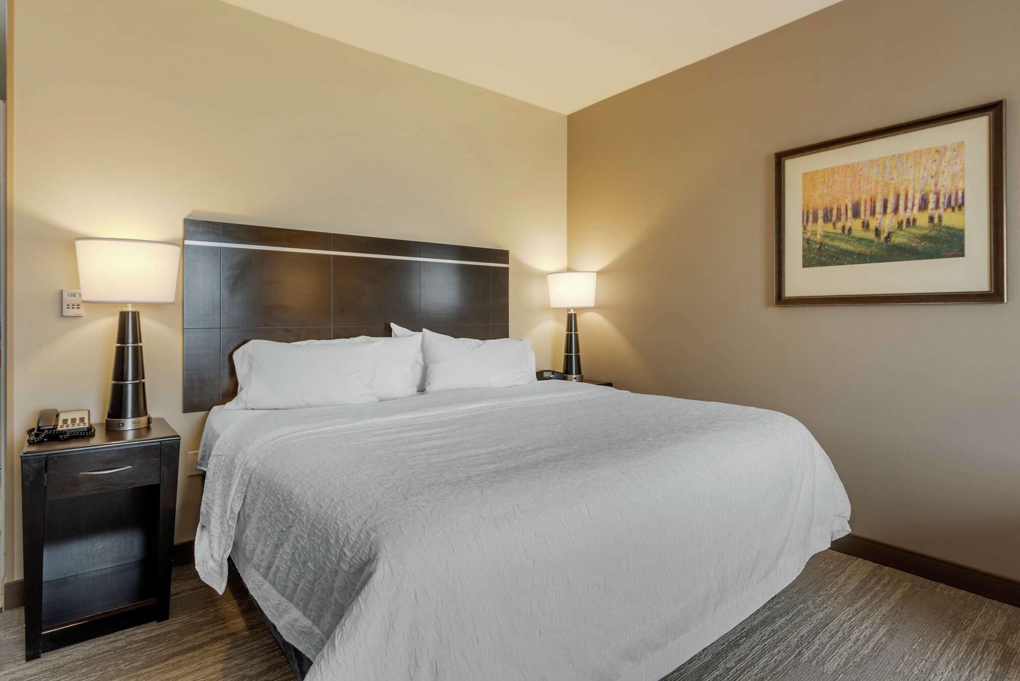 Hampton Inn Alamosa Exteriér fotografie