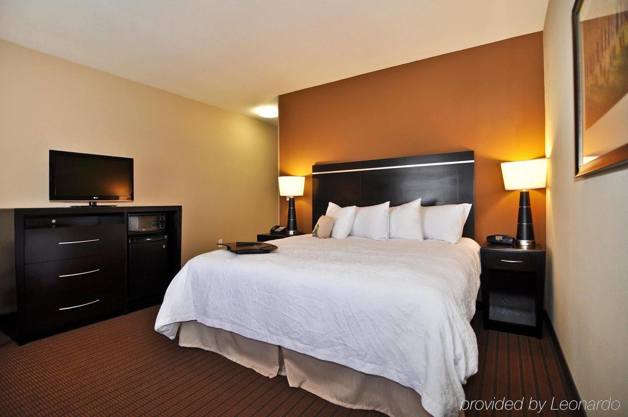 Hampton Inn Alamosa Pokoj fotografie